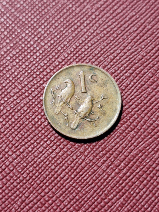 Africa de Sud, 1 cent 1980