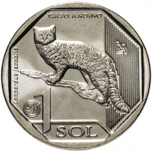 Peru 1 sol, 2019, Pisica salbatica din Anzi, UNC